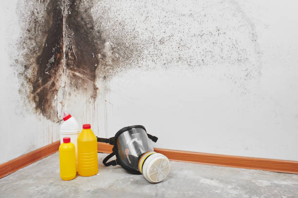 Best Bathroom Mold Remediation in Milton, GA