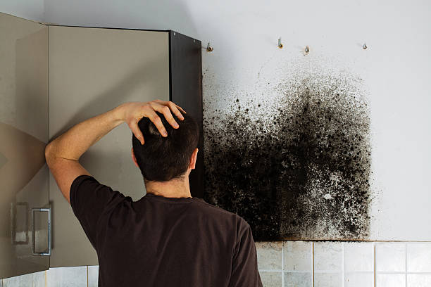 Best Industrial Mold Remediation in Milton, GA